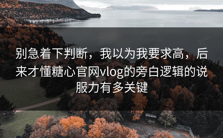 别急着下判断，我以为我要求高，后来才懂糖心官网vlog的旁白逻辑的说服力有多关键