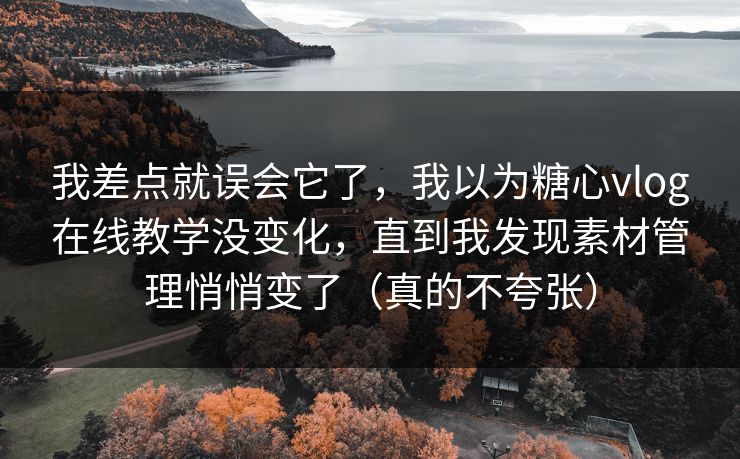 我差点就误会它了，我以为糖心vlog在线教学没变化，直到我发现素材管理悄悄变了（真的不夸张）