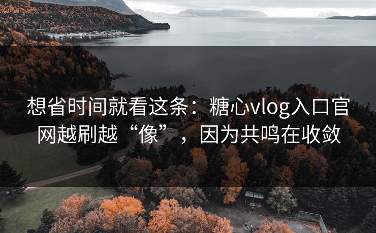 想省时间就看这条：糖心vlog入口官网越刷越“像”，因为共鸣在收敛