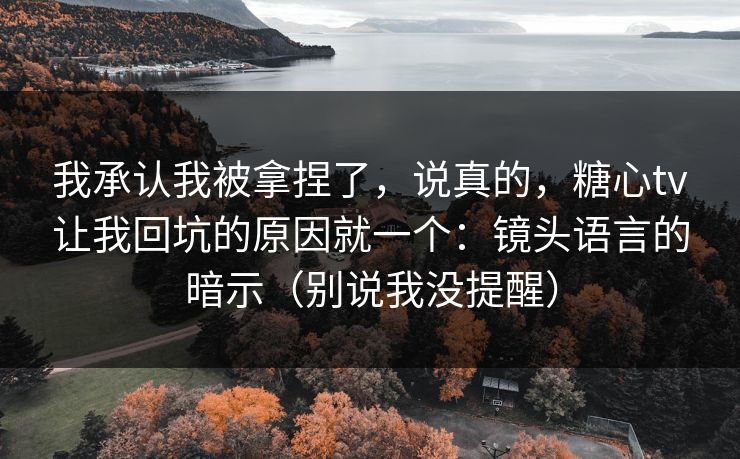 我承认我被拿捏了，说真的，糖心tv让我回坑的原因就一个：镜头语言的暗示（别说我没提醒）