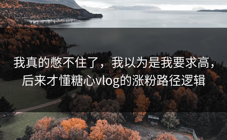 我真的憋不住了,我以为是我要求高,后来才懂糖心vlog的涨粉路径逻辑 我真的憋不住了,我以为是我要求高,后来才懂糖心vlog的涨粉路径逻辑
