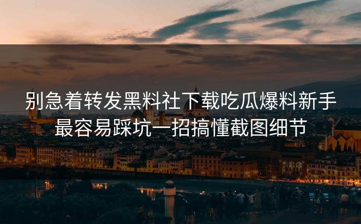 别急着转发黑料社下载吃瓜爆料新手最容易踩坑一招搞懂截图细节 别急着转发黑料社下载吃瓜爆料新手最容易踩坑一招搞懂截图细节